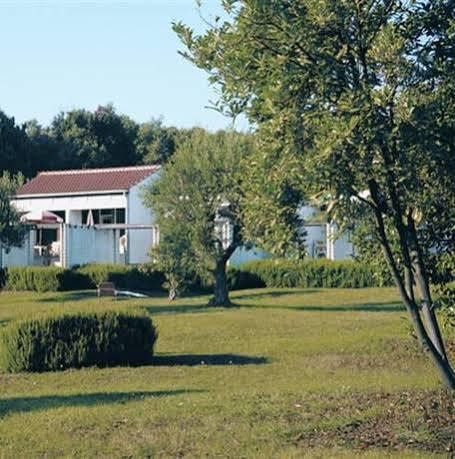 Koversada Rooms Vrsar Bagian luar foto